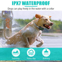 TinMiu Remote Control Waterproof Dog Training Collar