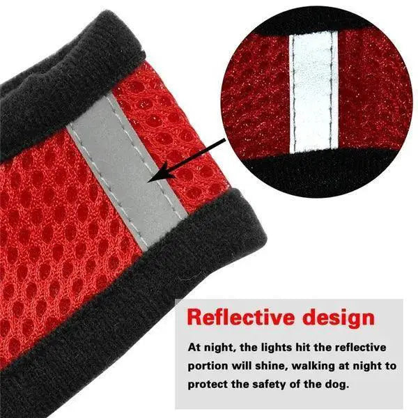 Adjustable Reflective Mesh Pet Harness Set With Leash