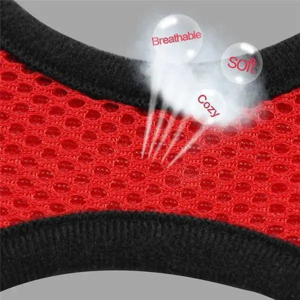 Adjustable Reflective Mesh Pet Harness Set With Leash