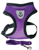 Reflective Pet Harness for Night Walks