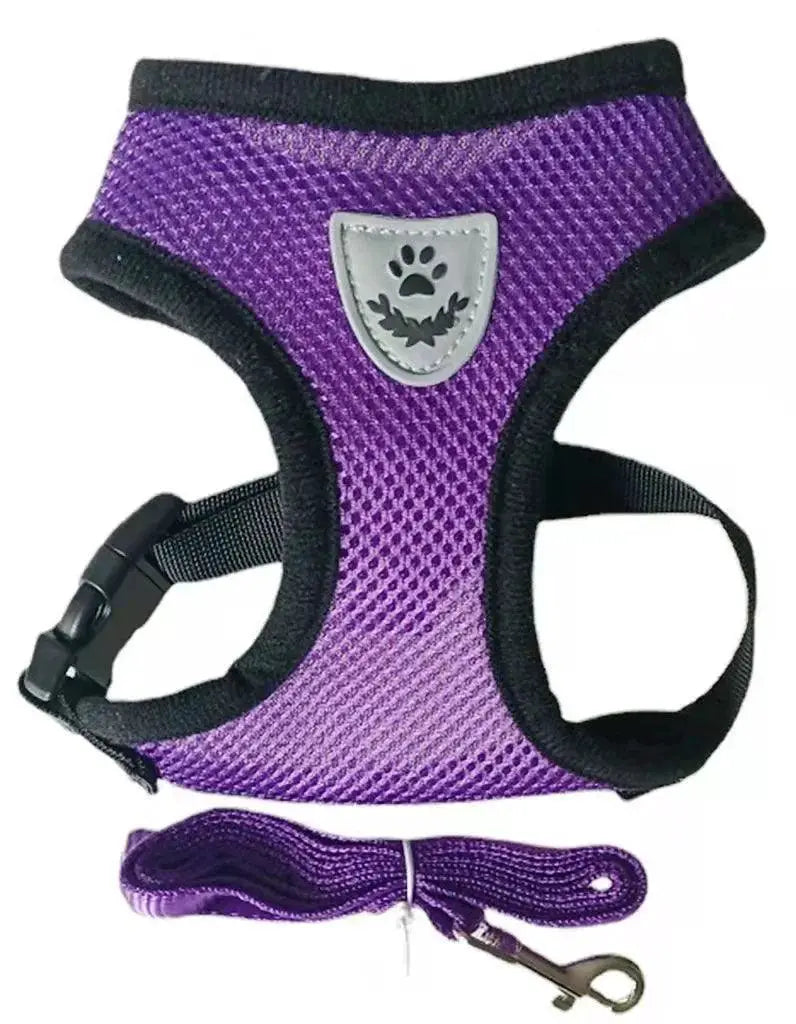 Adjustable Reflective Mesh Pet Harness Set With Leash
