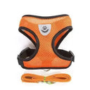 Reflective Pet Harness for Night Walks