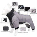 Warm Winter Dog Coat for Small Breeds