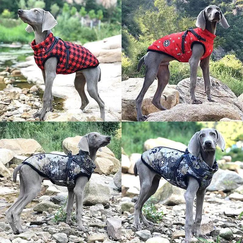 Winter Dog Jacket With Harness Waterproof Reflective Cozy