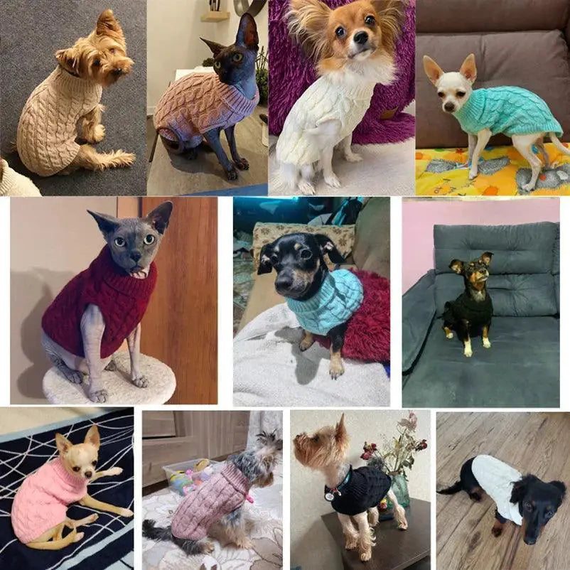 Warm and Stylish Turtleneck Sweater for Small Dogs and Cats