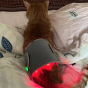 Pain Relief Dog Red Light Therapy Pad