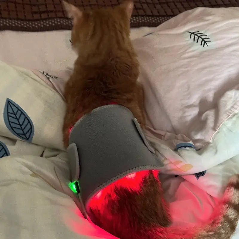 Pain Relief Dog Red Light Therapy Pad