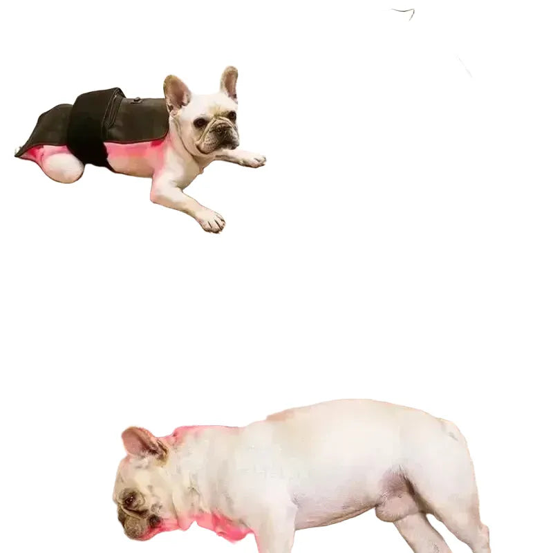Pain Relief Dog Red Light Therapy Pad — product view 1