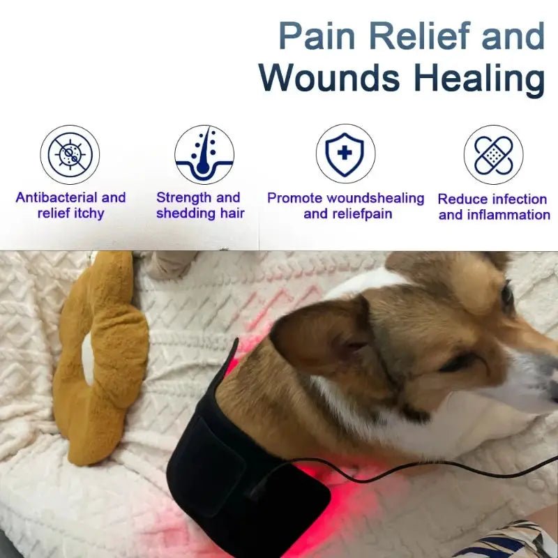 Pain Relief Dog Red Light Therapy Pad