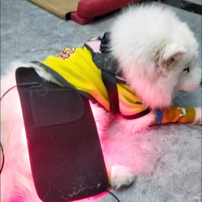 Pain Relief Dog Red Light Therapy Pad