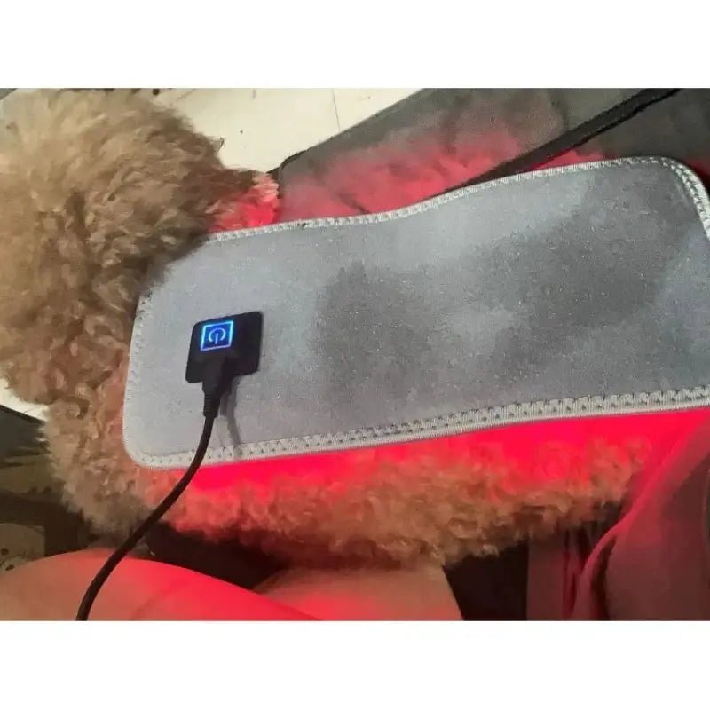 Pain Relief Dog Red Light Therapy Pad