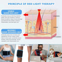Pain Relief Waist Belt for Back Pain