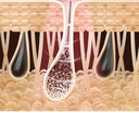 Painless IPL Epilator for Women at Home