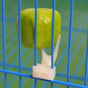 Parrot Pet Bird Fruit Fork Holder Cage Feeding Hamster Rat
