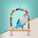 Parrot Swing & Chewing Toy Interactive Bird Cage Kit Set