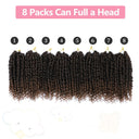 Passion Twist Crochet Hair for Stylish Black Women 8 Packs