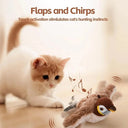 PawPulse Sparrow Cat Toy for Active Cats