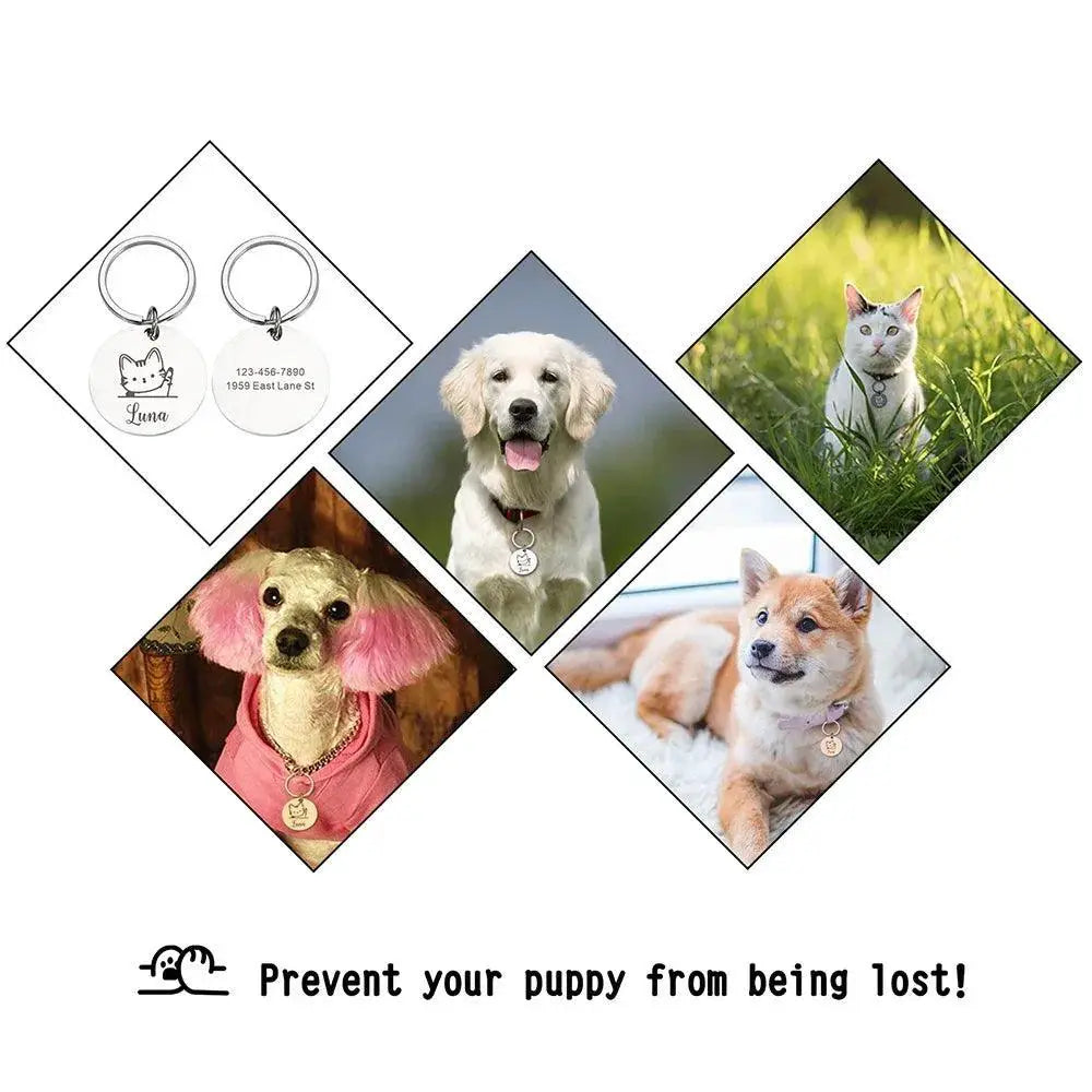Personalized Reflective Cat ID Tag With Free Engraving