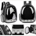 Pet Carrier Backpack: Transparent Capsule Bubble Travel