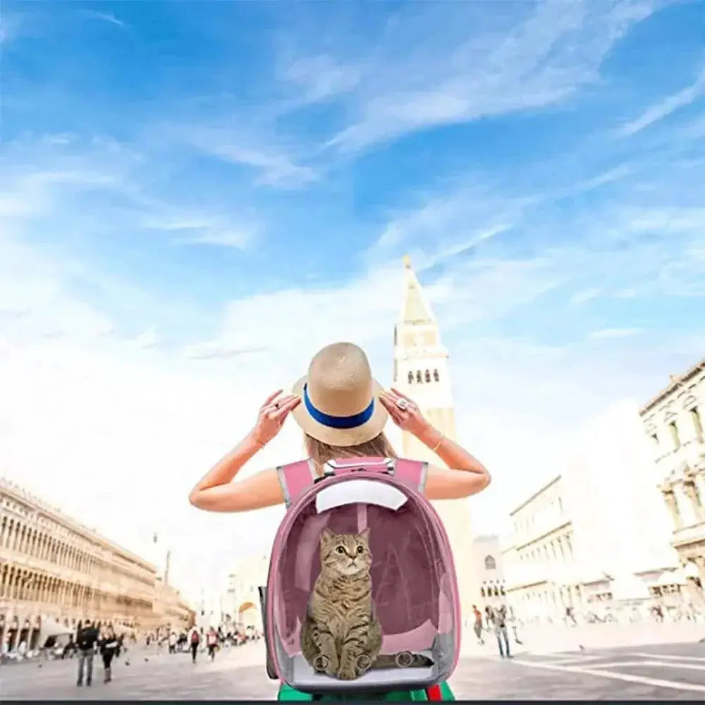 PawNova Pet Carrier Backpack Transparent Capsule Bubble