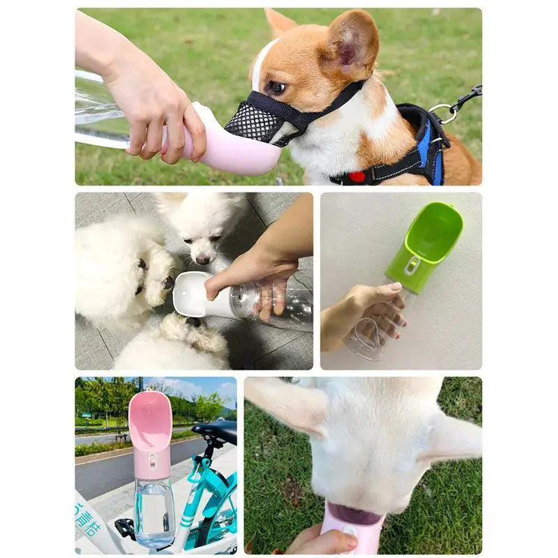 Pet Dog Water Bottle Feeder Bowl Outdoor Travel Solution