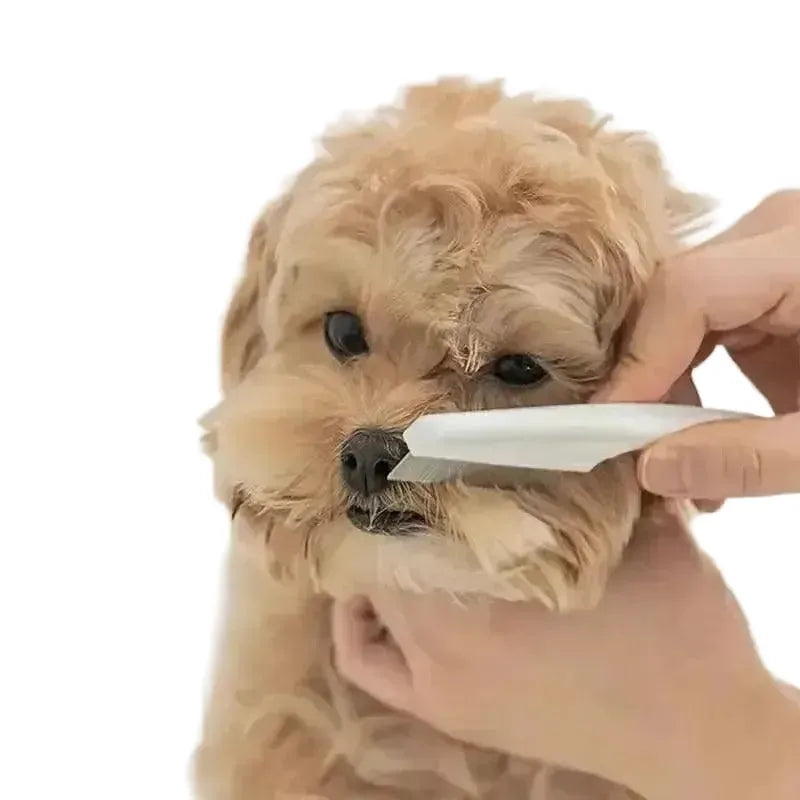 Gentle Grooming Brush for Small Dogs — product view 1