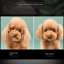 Pet Grooming Essentials: Professional Trimming Set for Dogs