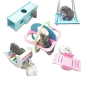 Hamster Swing Bridge Toy for Active Play