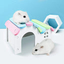Hamster Swing Bridge Toy for Active Play