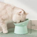 Anti-Choking Pet Bowl for Dogs and Cats
