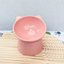 Anti-Choking Pet Bowl for Dogs and Cats
