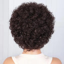 Pixie Afro Curly Bob Human Hair Wig Brazilian Remy Brown Kinky