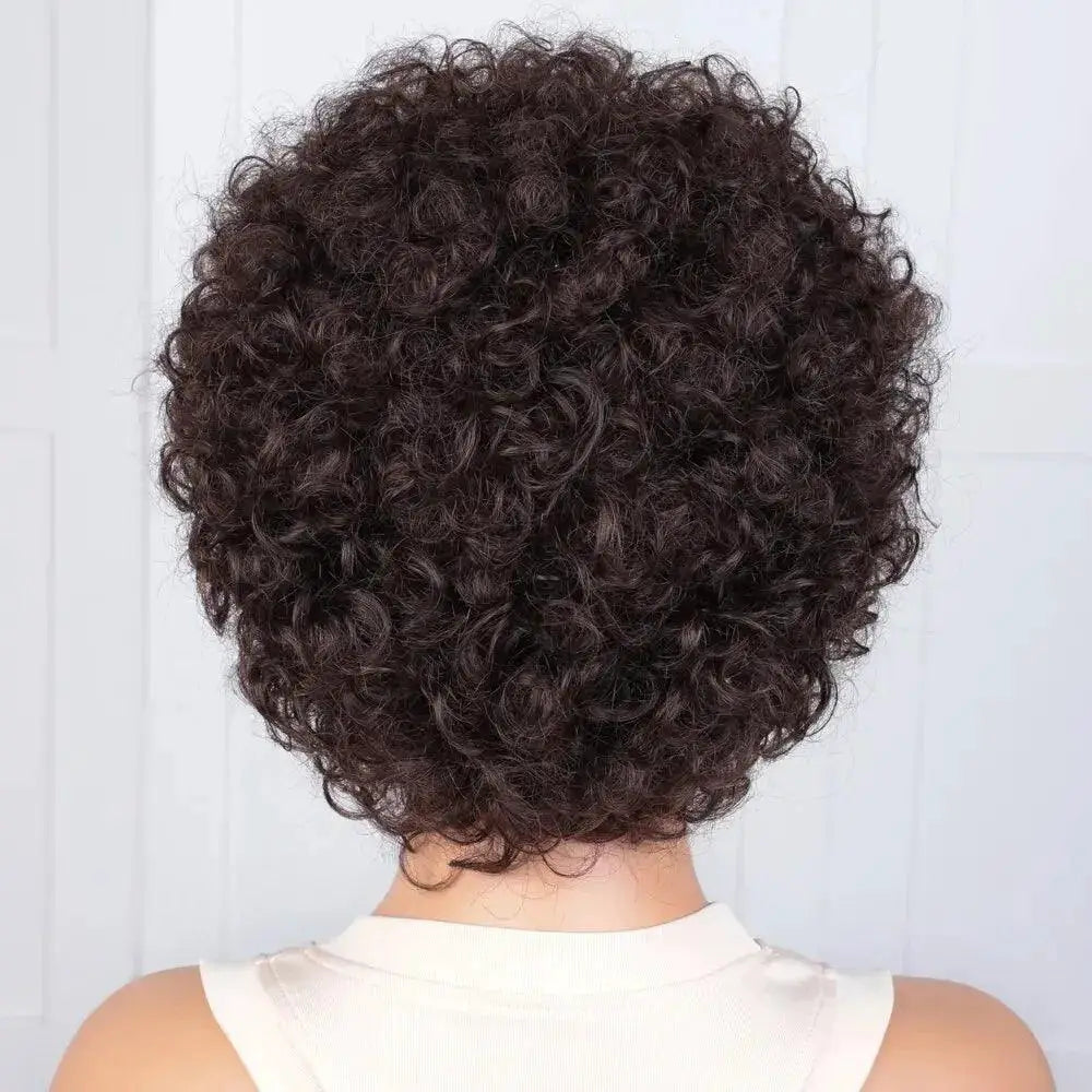 Pixie Afro Curly Bob Human Hair Wig Remy Brown Kinky