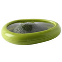 Fruit and Veg Freshness Box for Fridge