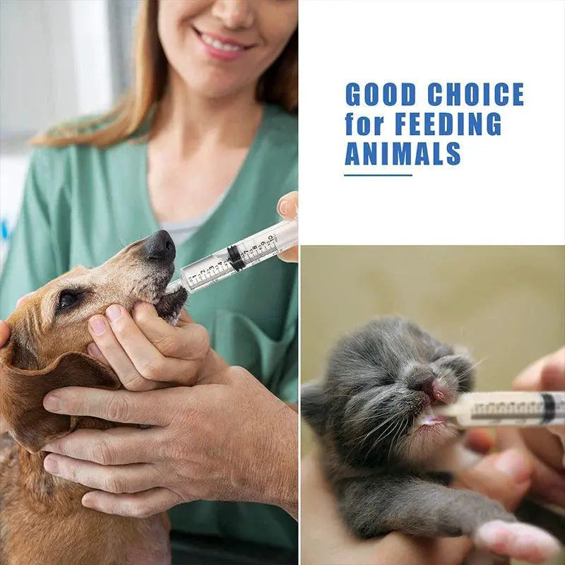 Plastic Needle Free Syringes For Pets And Kitchen Tools