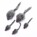 Active Catnip Toy Set For Kittens Play