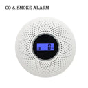 Dual Smoke and CO Detector for Industry