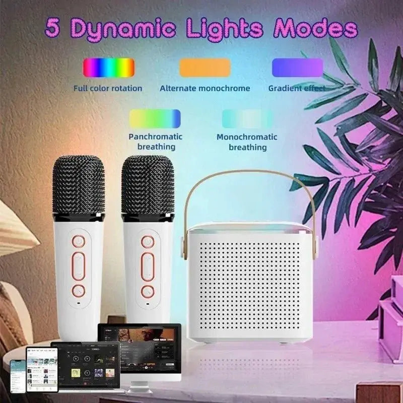 Karaoke Portable Wireless Bluetooth Speaker With Microphone - OurLum.com