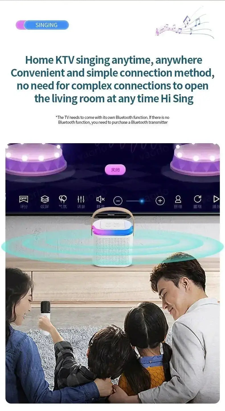 Powerful Karaoke System for Parties — product view 19