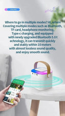 Powerful Karaoke System for Parties