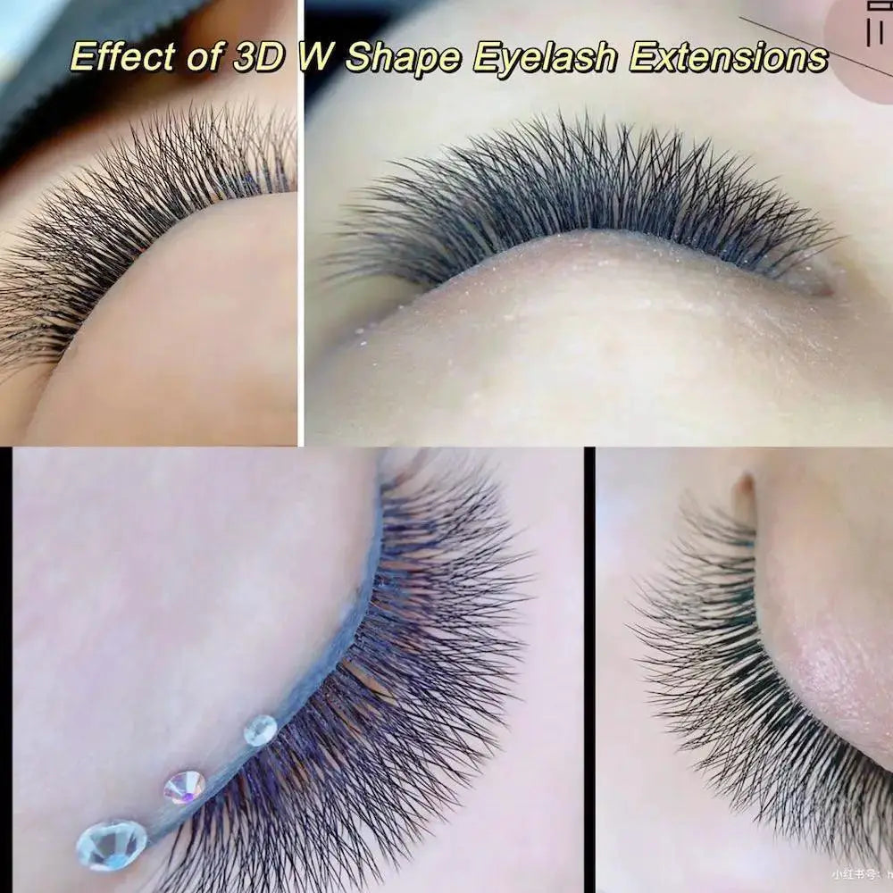 Premium Nagaraku W Shape Flowering Eyelash Extensions