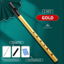 Professional C/D Key Irish Whistle 6 Holes Flute Beginners