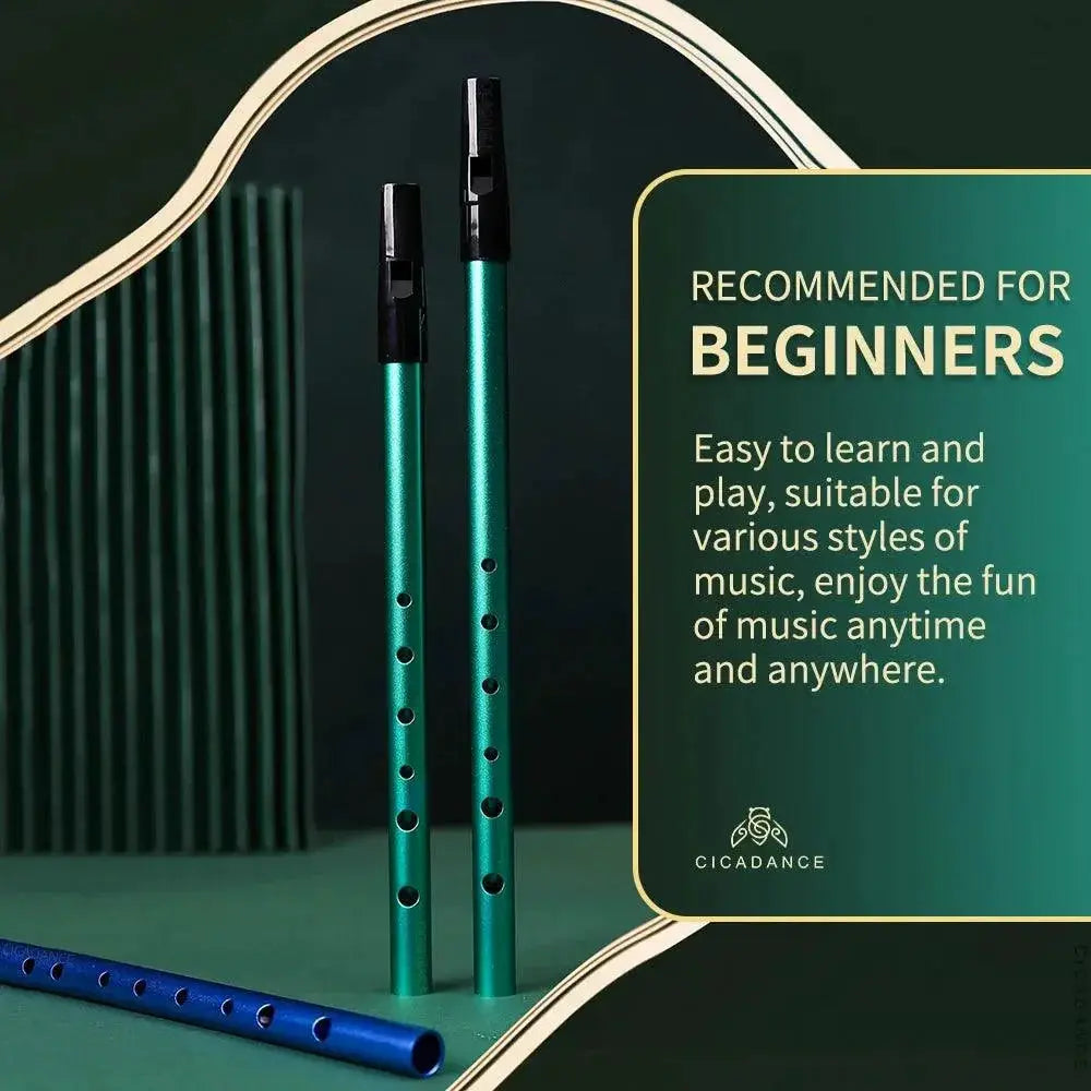 Professional C D Key Irish Whistle 6 Holes Flute Beginners