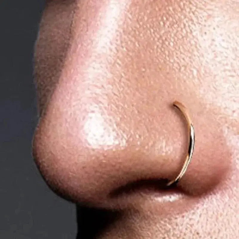 Punk Style Stainless Steel Fake Nose Ring Earrings Unisex