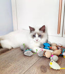 Catnip Plush Mice for Indoor Cats Fun