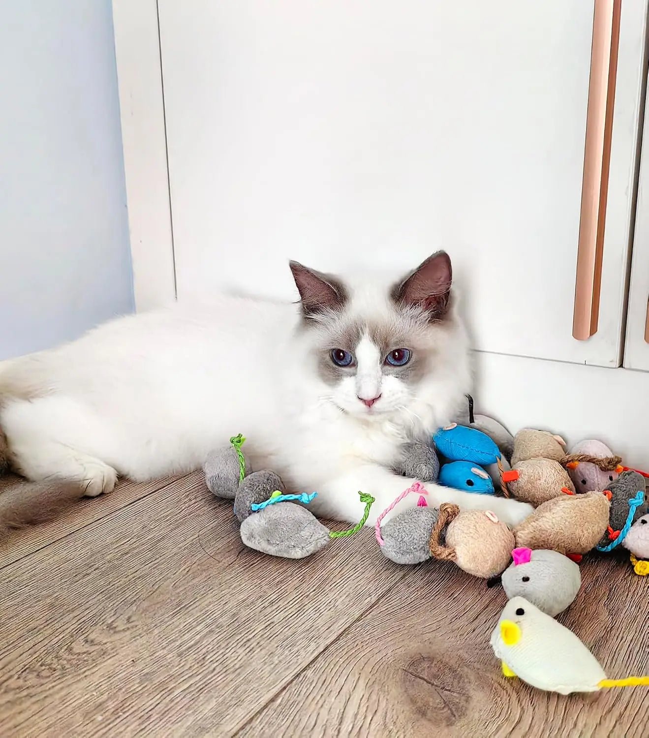 PurrfectPlay Catnip Plush Rattle Mouse Toys - Interactive Indoor Cat Enrichment