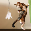 PurrJoy Cat Teaser Toy - Interactive Bell And Feather Wand With Long Suction Cup