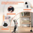 PurrJoy Cat Teaser Toy - Interactive Bell And Feather Wand With Long Suction Cup