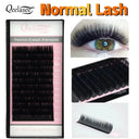 Natural Mink Eyelash Extensions for Pros
