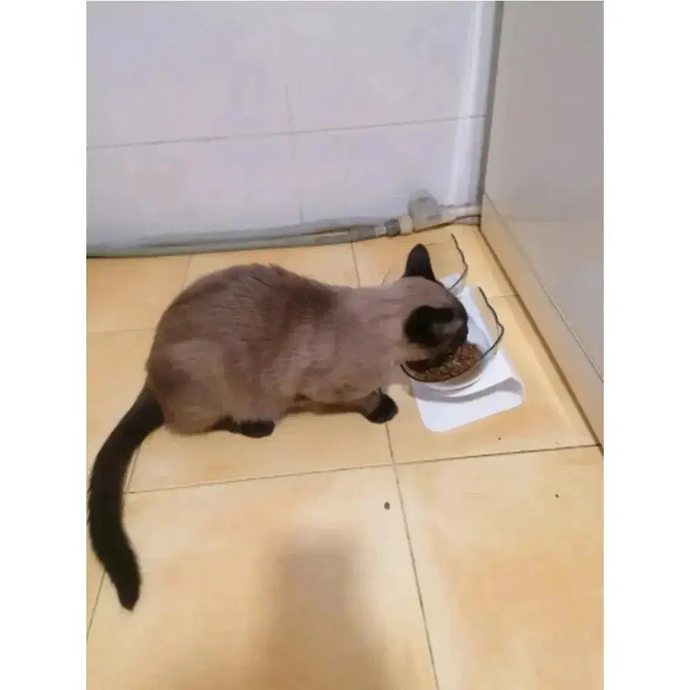 Raised Stand Double Bowls Pet Feeder For Cats And Dogs